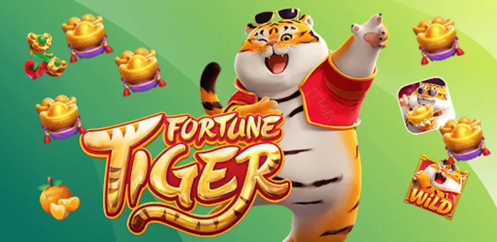 Casino Slots game provider studio မျိုးစုံ ရှာဖွေနိုင်မှု